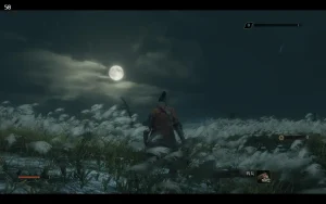 Sekiro Shadows Die Twice